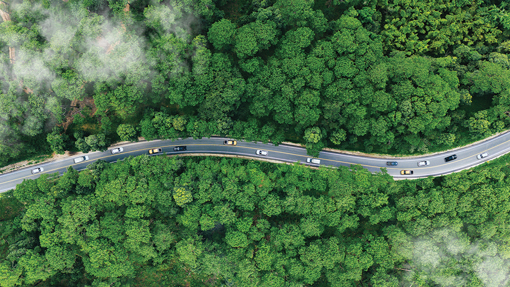 dự án tín chỉ carbon