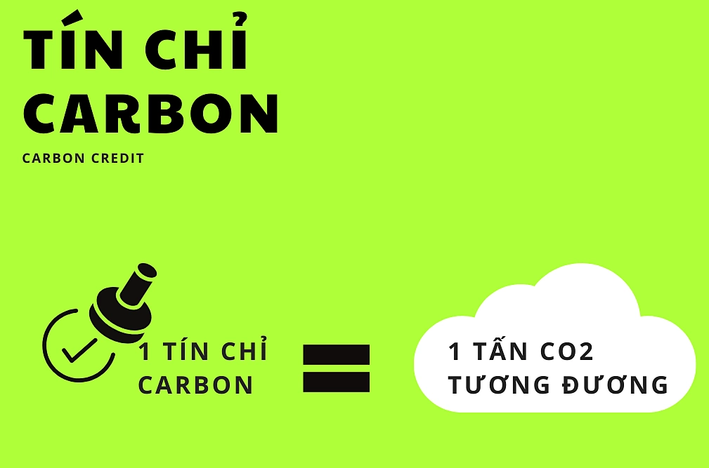 tin-chi-carbon-la-gi