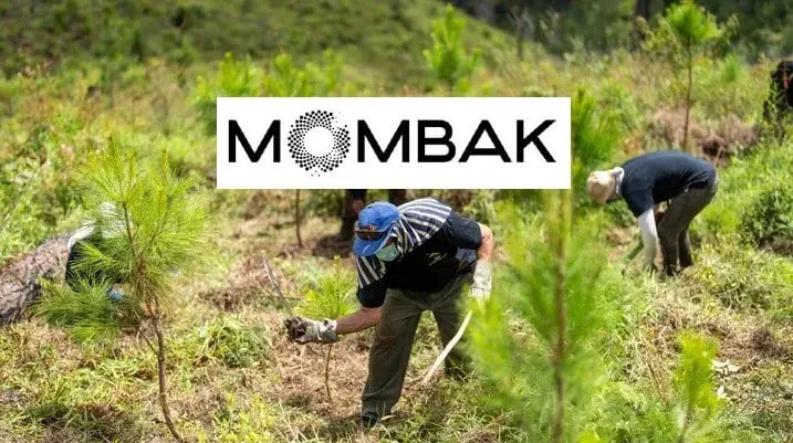 tin-chi-carbon_startup-mombak